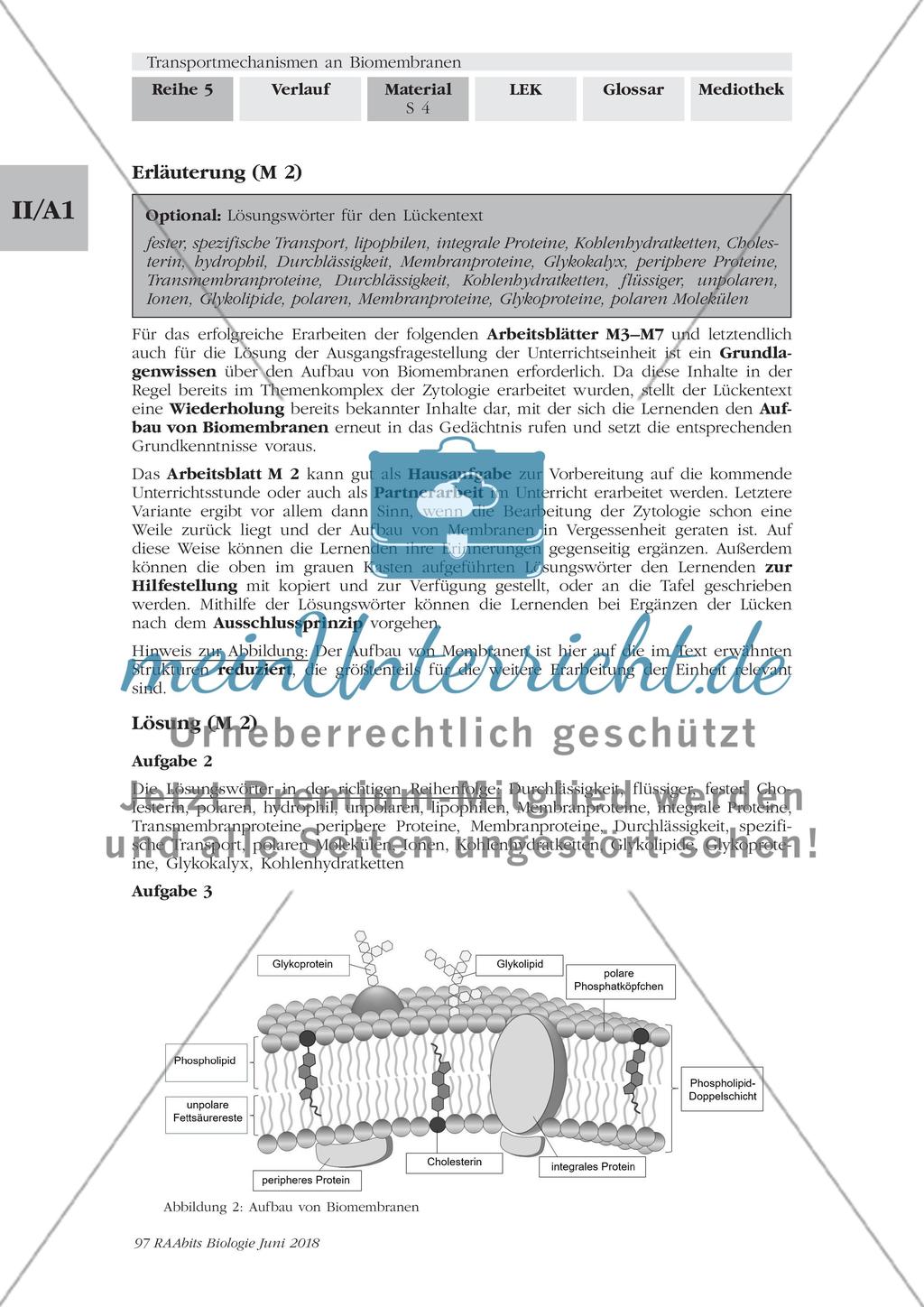 Transportmechanismen an Biomembranen - M1-M9 Preview 4