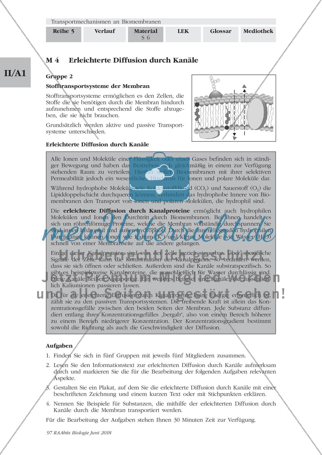 Transportmechanismen an Biomembranen - M1-M9 Preview 6
