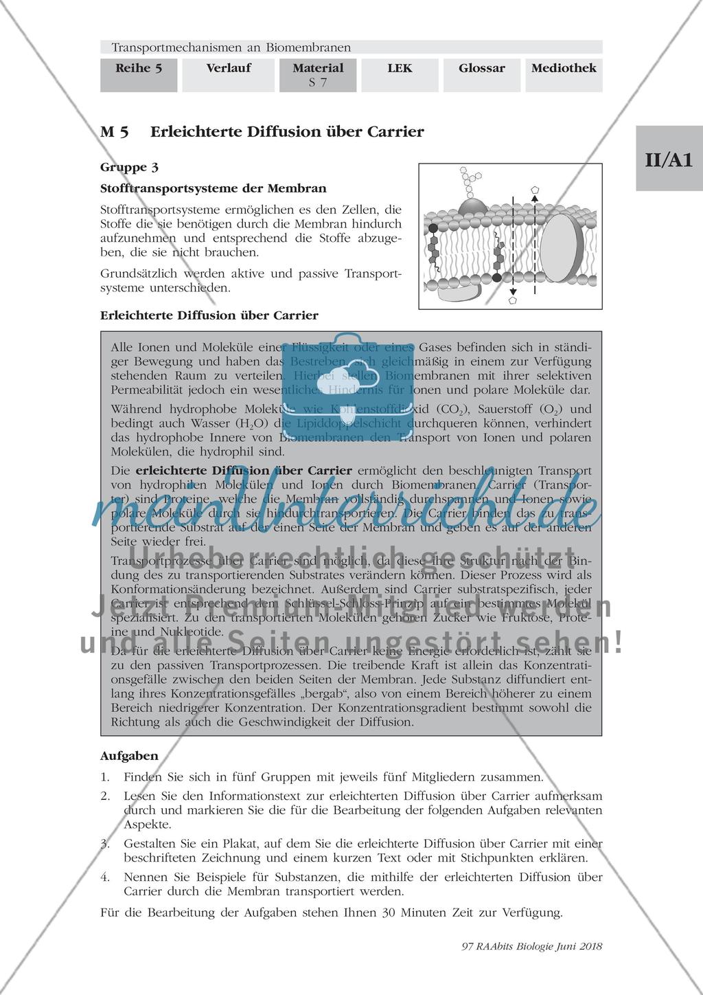 Transportmechanismen an Biomembranen - M1-M9 Preview 7