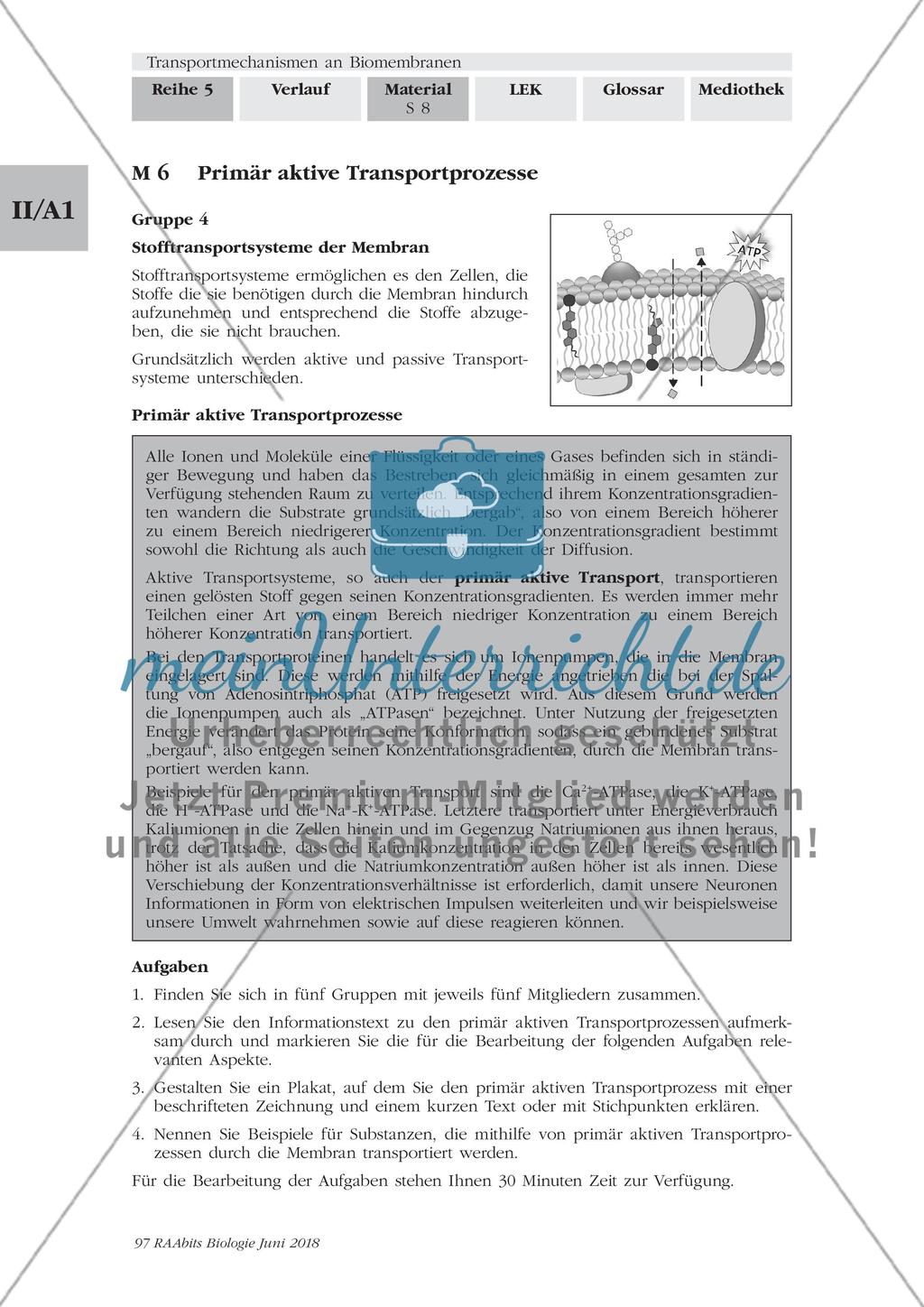 Transportmechanismen an Biomembranen - M1-M9 Preview 8