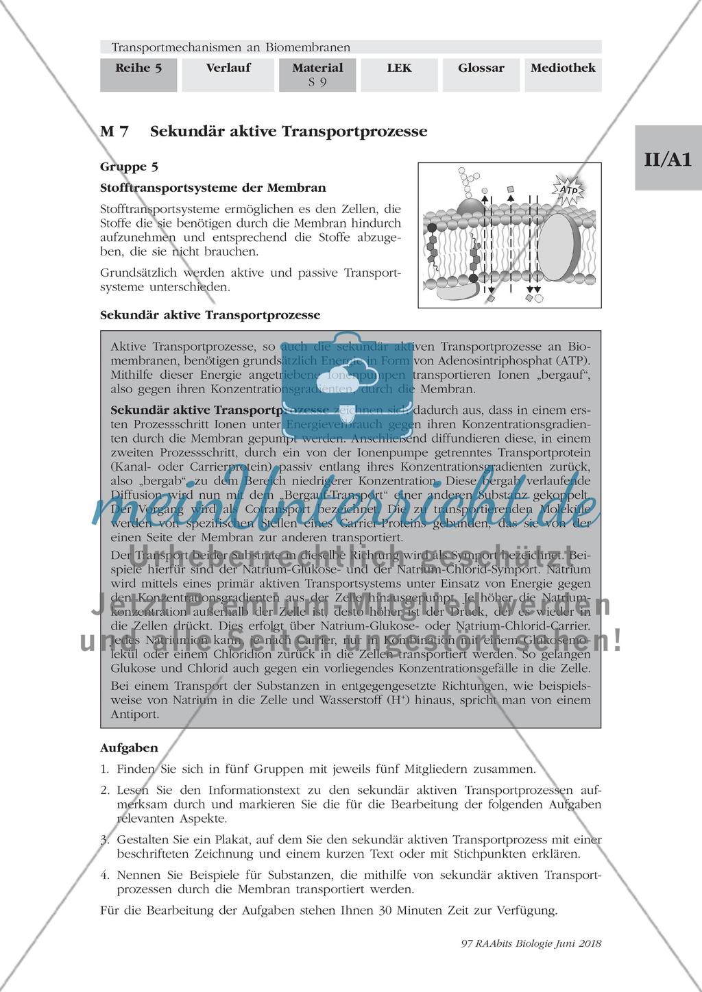 Transportmechanismen an Biomembranen - M1-M9 Preview 9
