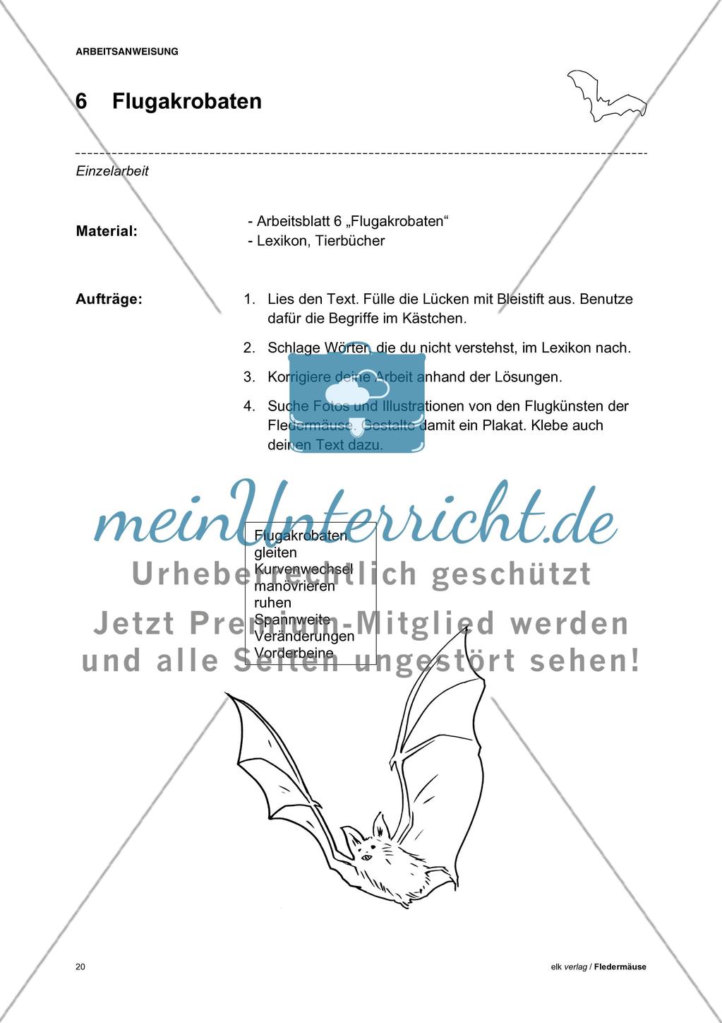 Fledermäuse - Teil 1 Preview 11