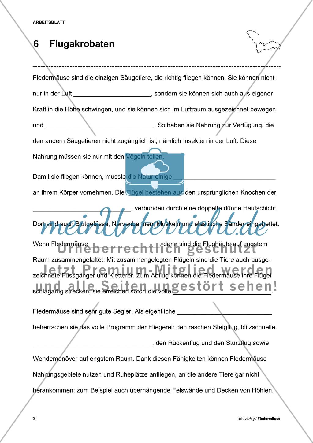 Fledermäuse - Teil 1 Preview 12