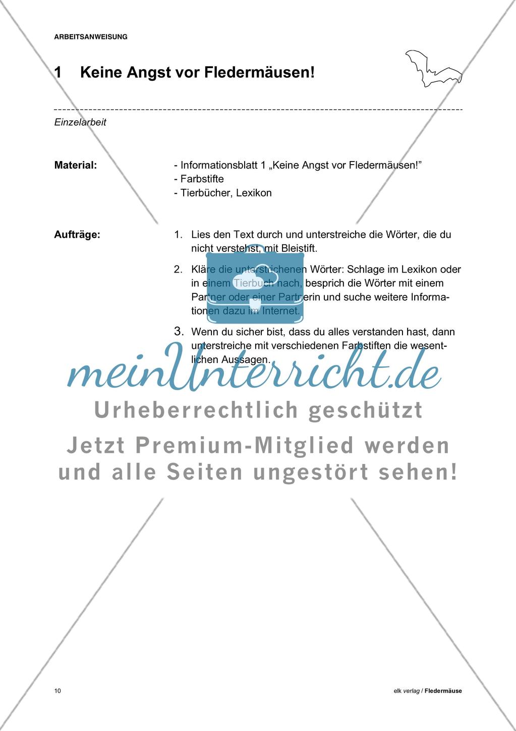 Fledermäuse - Teil 1 Preview 1