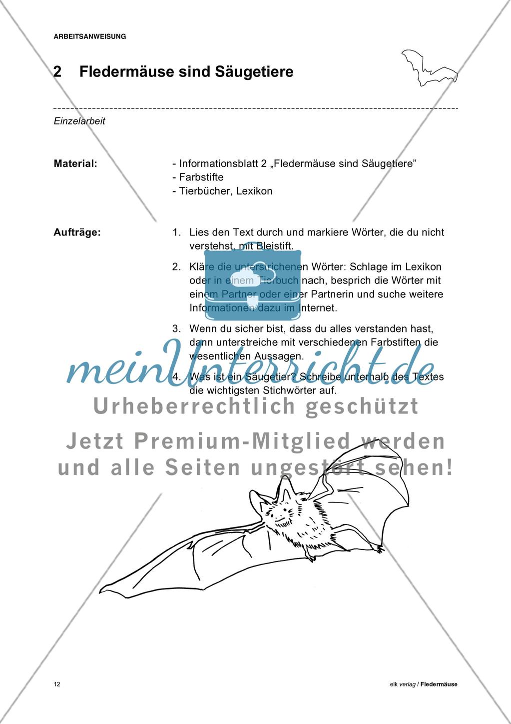 Fledermäuse - Teil 1 Preview 3