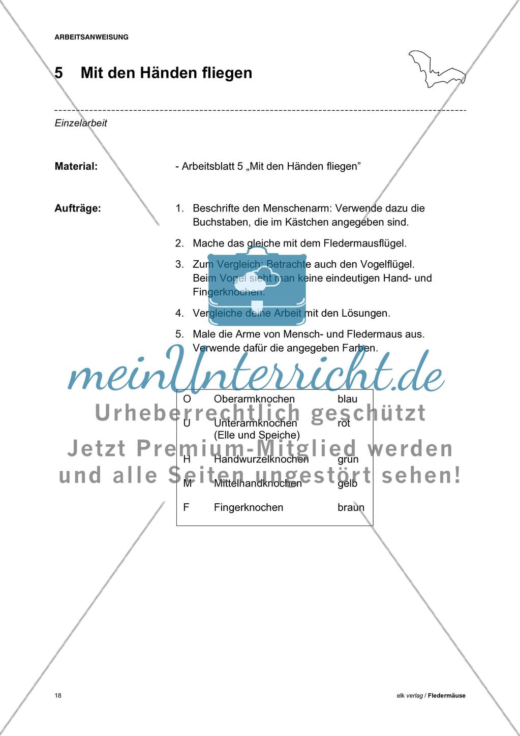 Fledermäuse - Teil 1 Preview 9