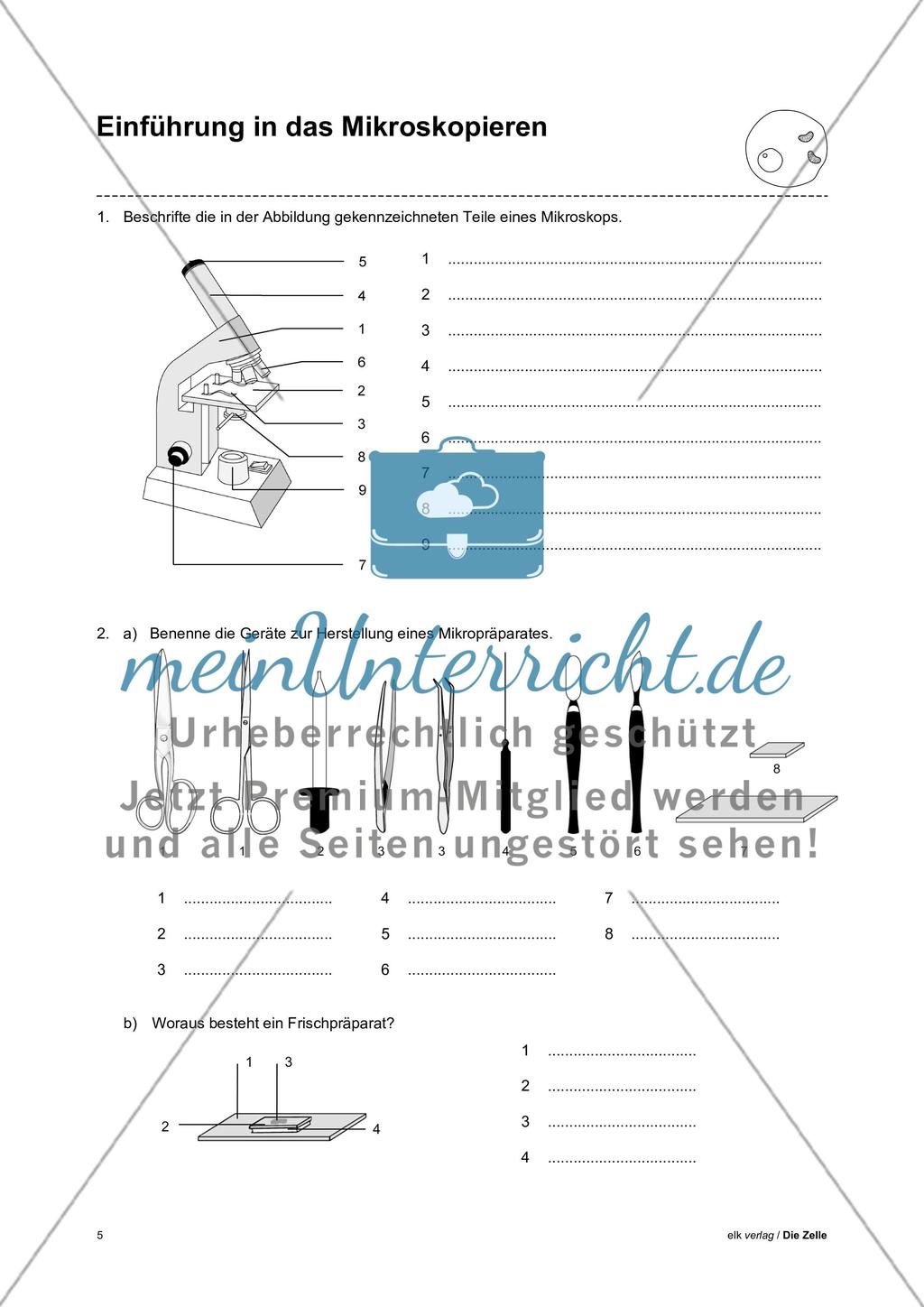 Arbeitsblätter Zelle - Teil 1 Preview 1