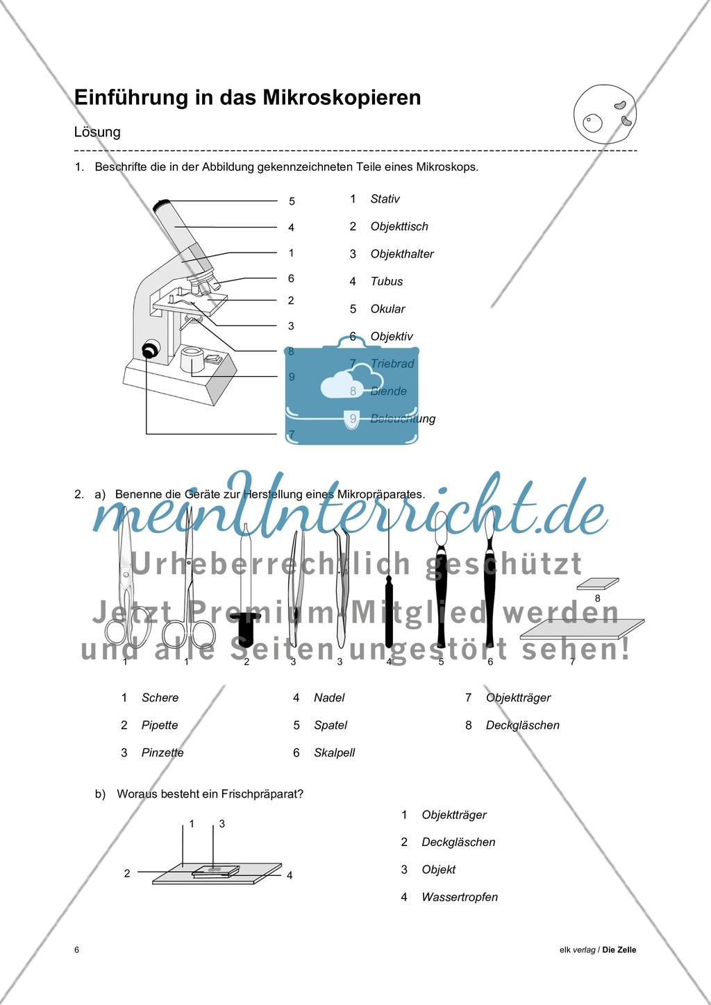 Arbeitsblätter Zelle - Teil 1 Preview 2
