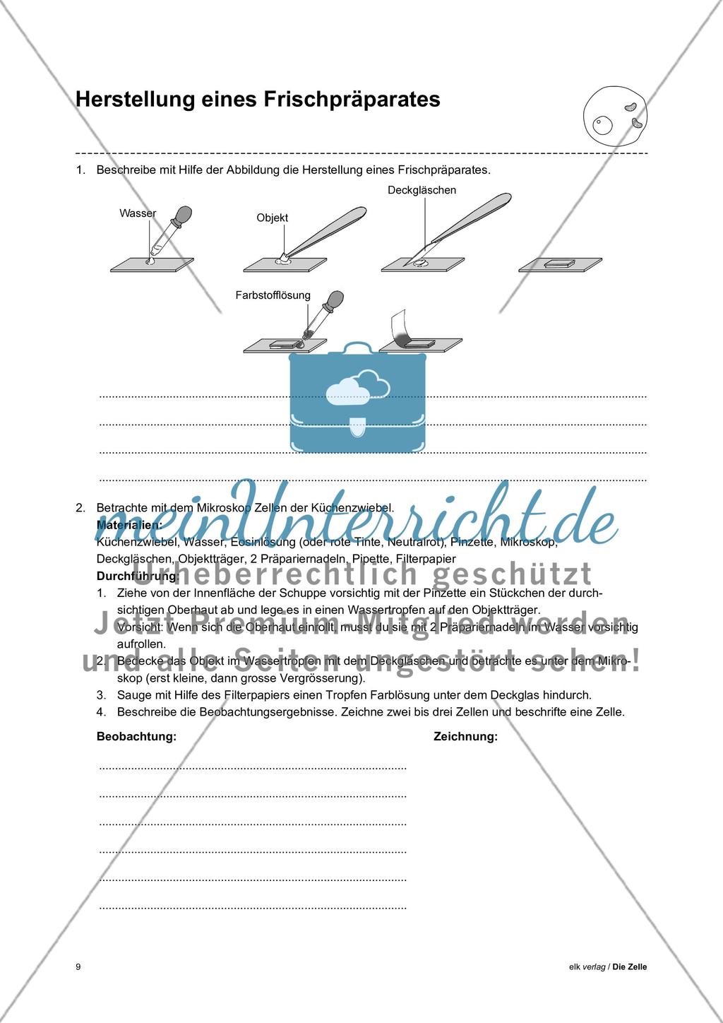 Arbeitsblätter Zelle - Teil 1 Preview 5