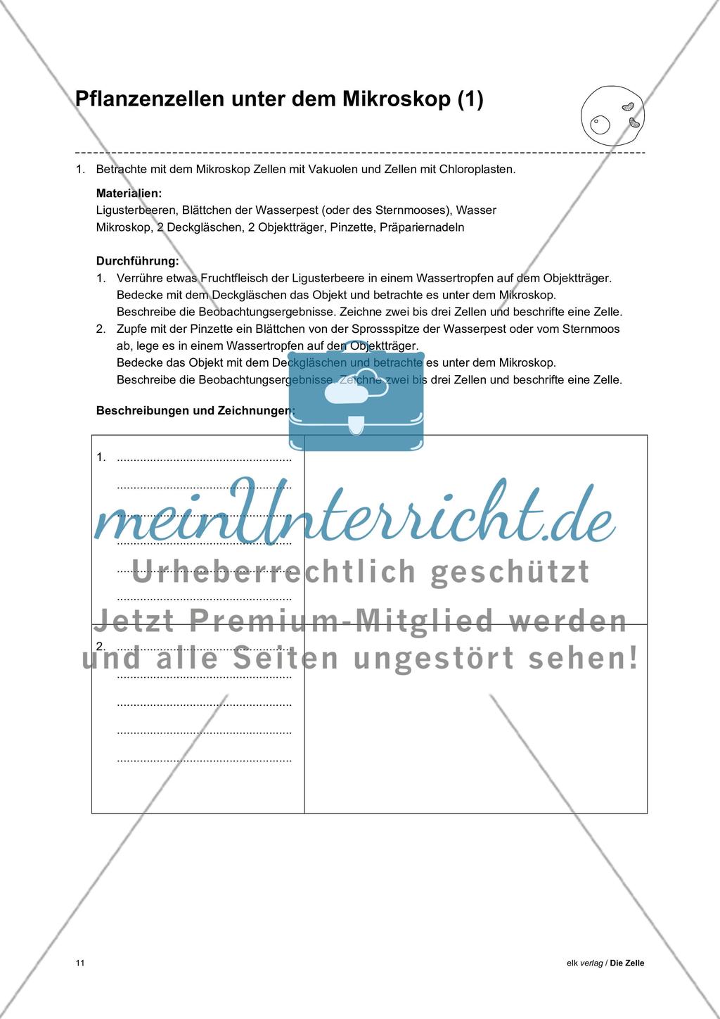 Arbeitsblätter Zelle - Teil 1 Preview 7