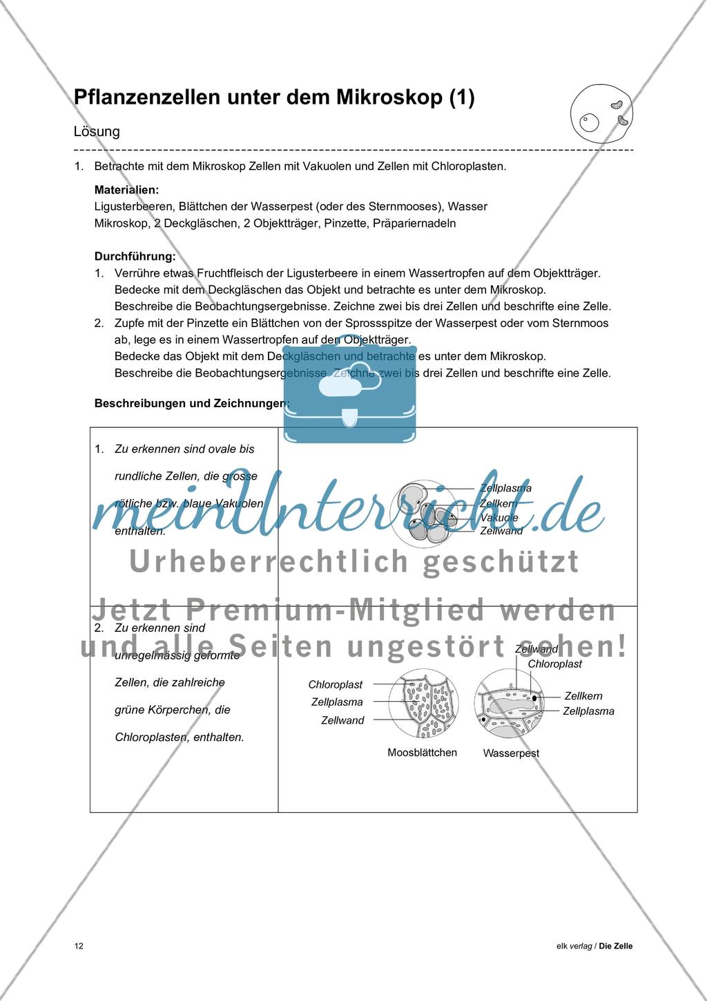 Arbeitsblätter Zelle - Teil 1 Preview 8