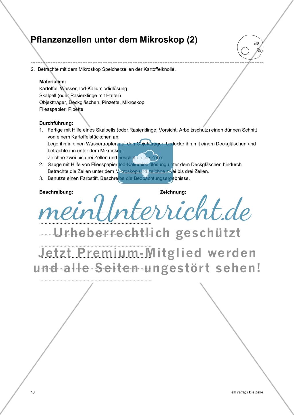 Arbeitsblätter Zelle - Teil 1 Preview 9