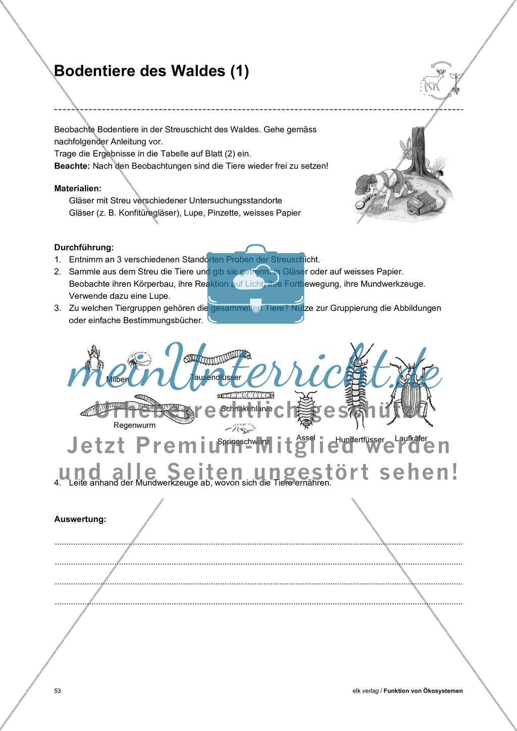 Funktion von Ökosystemen – Teil3 Preview 11