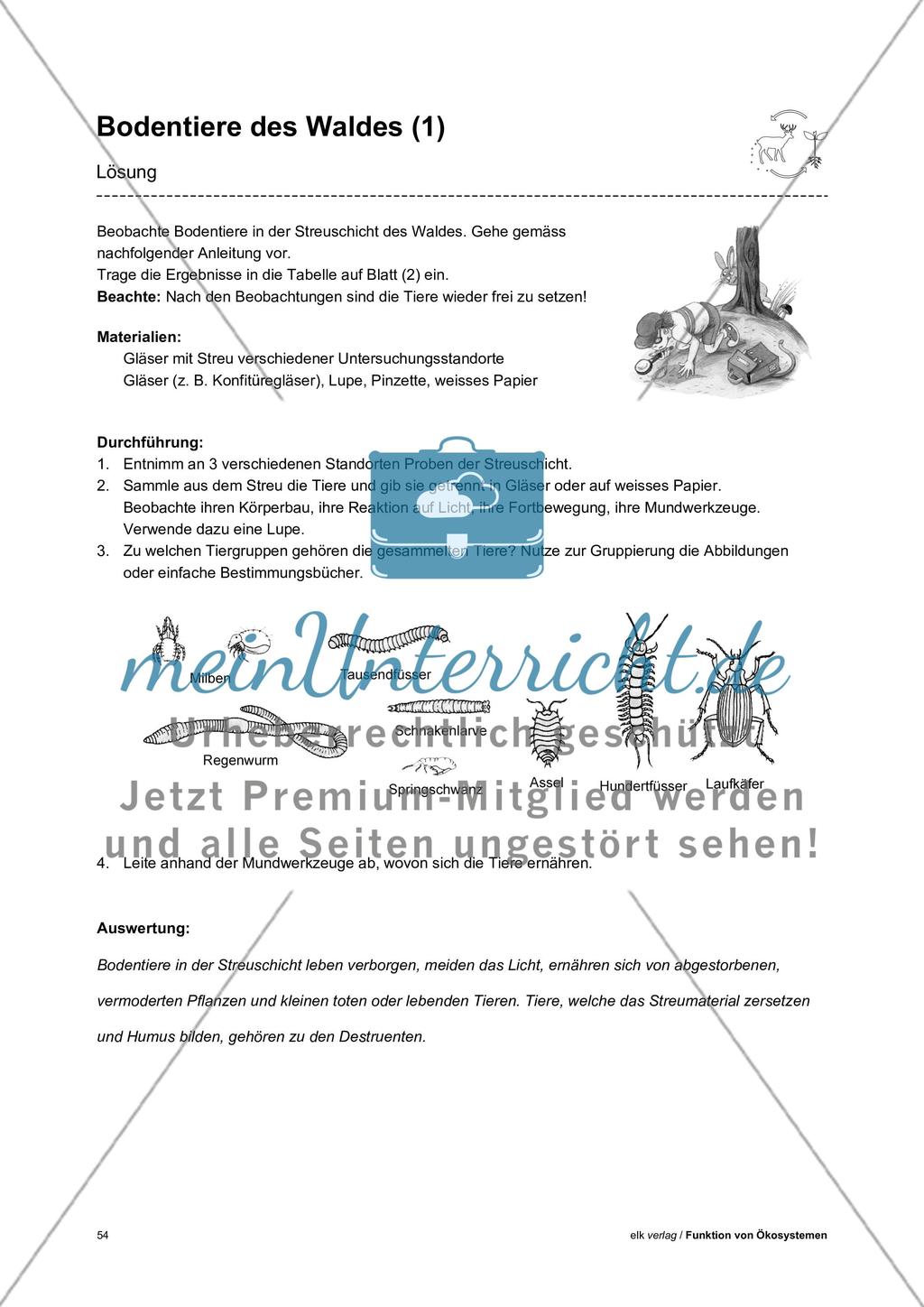 Funktion von Ökosystemen – Teil3 Preview 12