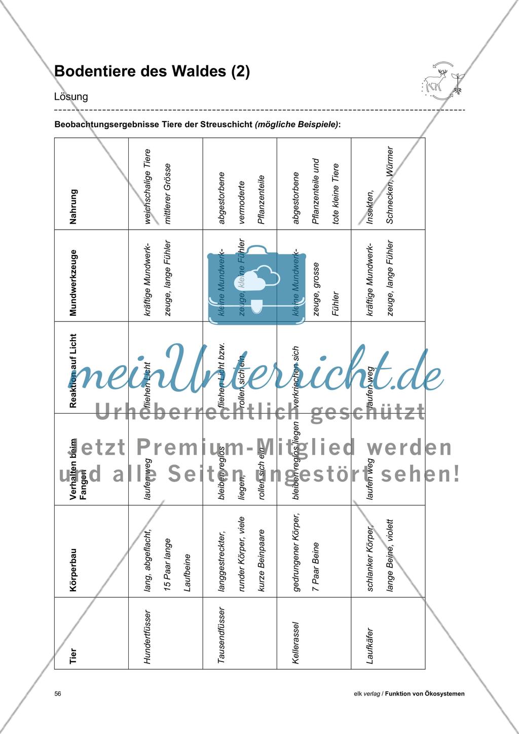 Funktion von Ökosystemen – Teil3 Preview 14