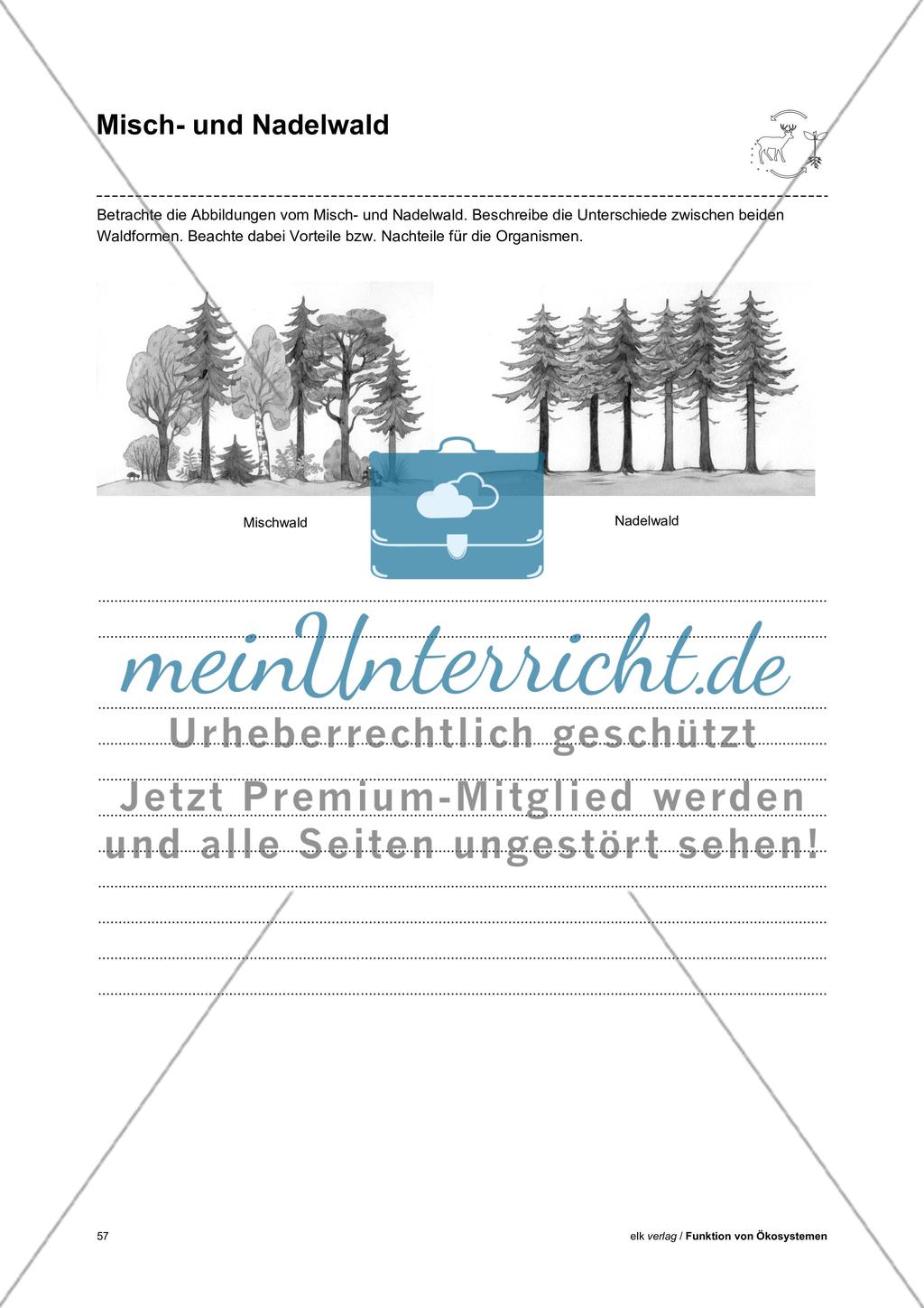 Funktion von Ökosystemen – Teil3 Preview 15