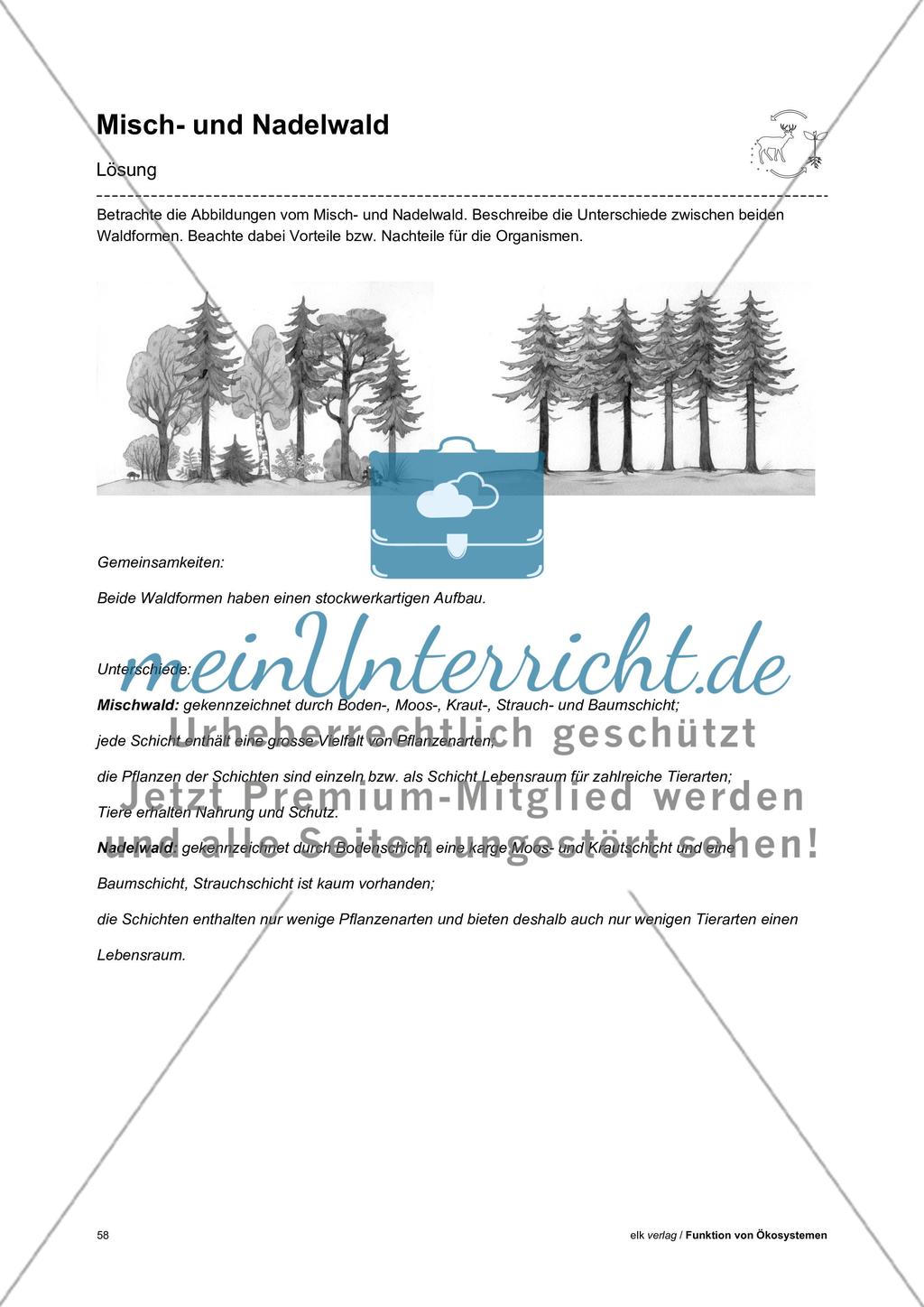 Funktion von Ökosystemen – Teil3 Preview 16