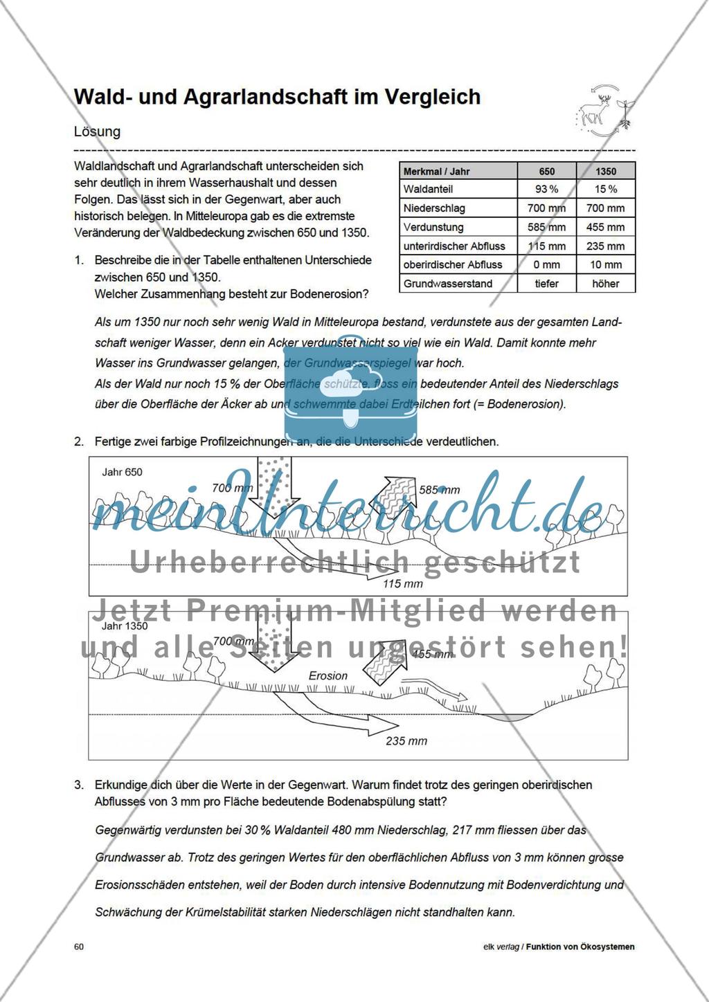 Funktion von Ökosystemen – Teil3 Preview 18