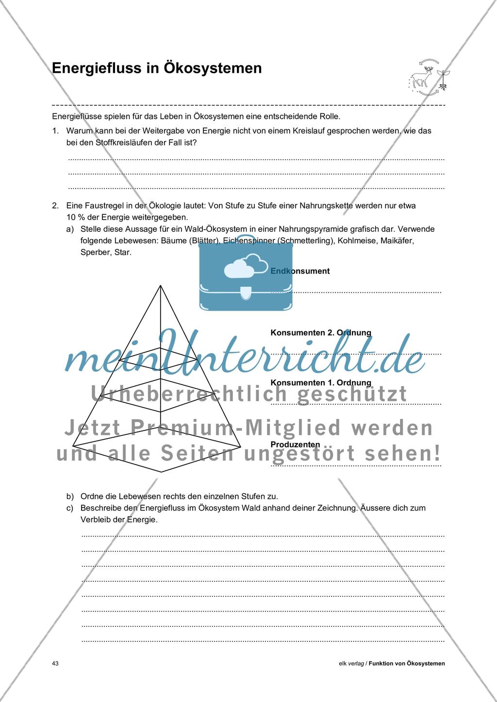 Funktion von Ökosystemen – Teil3 Preview 1