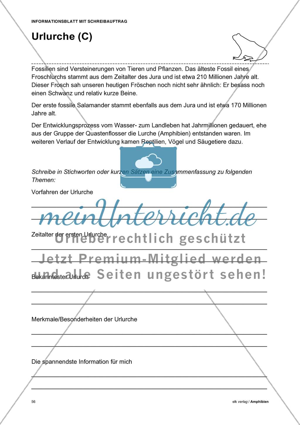 Amphibien - Teil 5 Preview 10