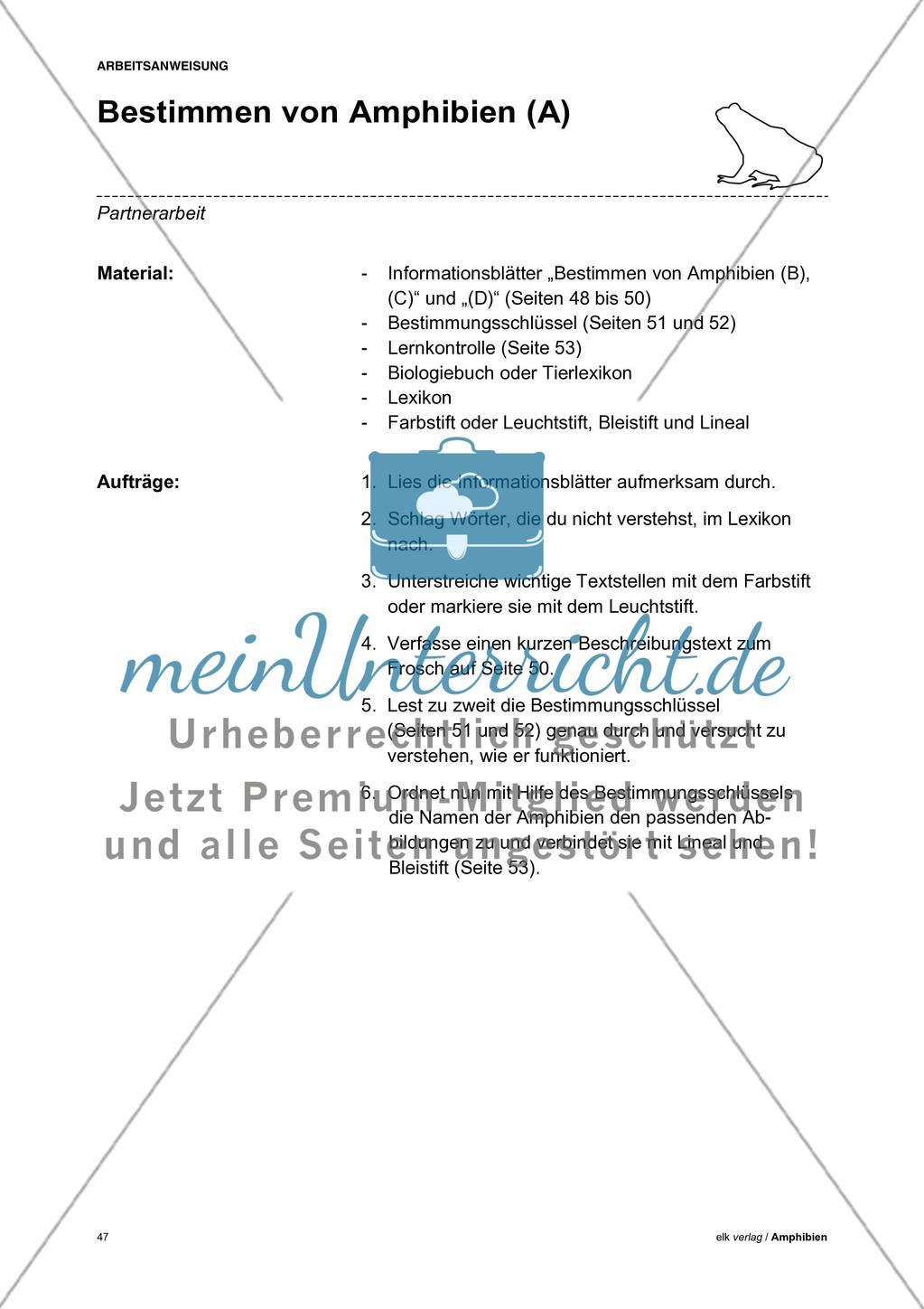 Amphibien - Teil 5 Preview 1