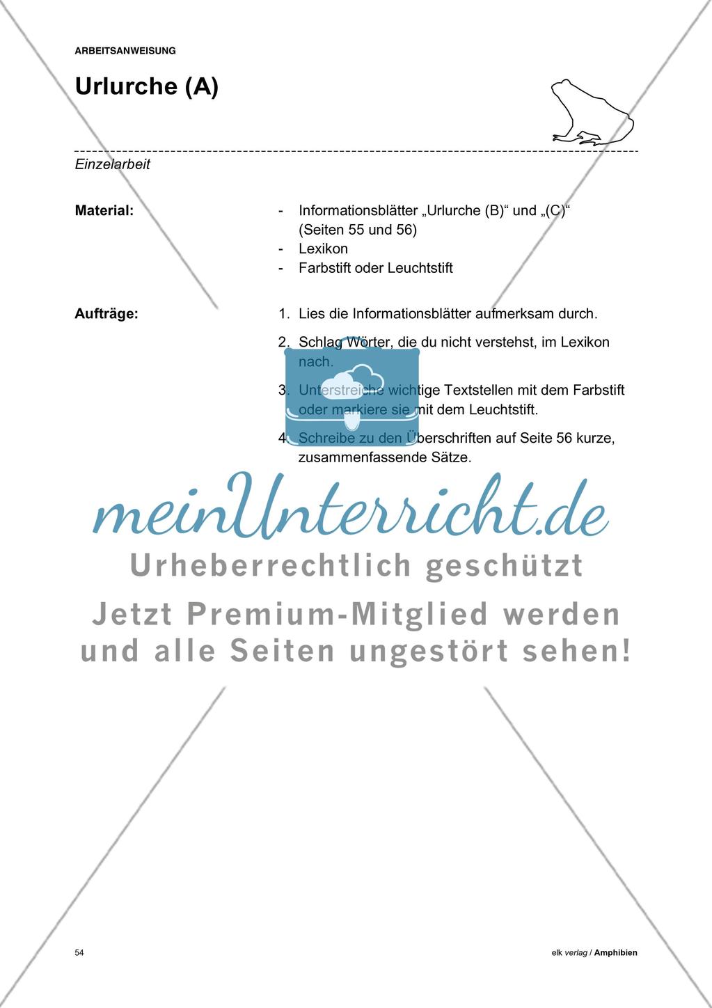 Amphibien - Teil 5 Preview 8