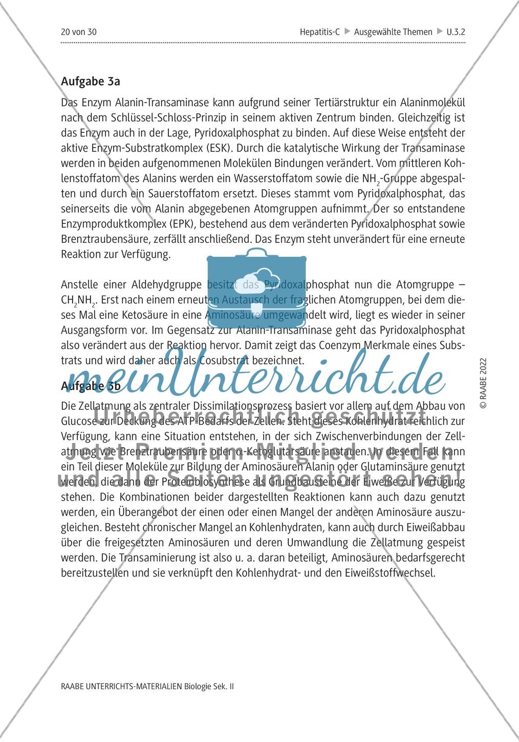 Dem Hepatitis-C-Virus auf der Spur – Lösungen Preview 5