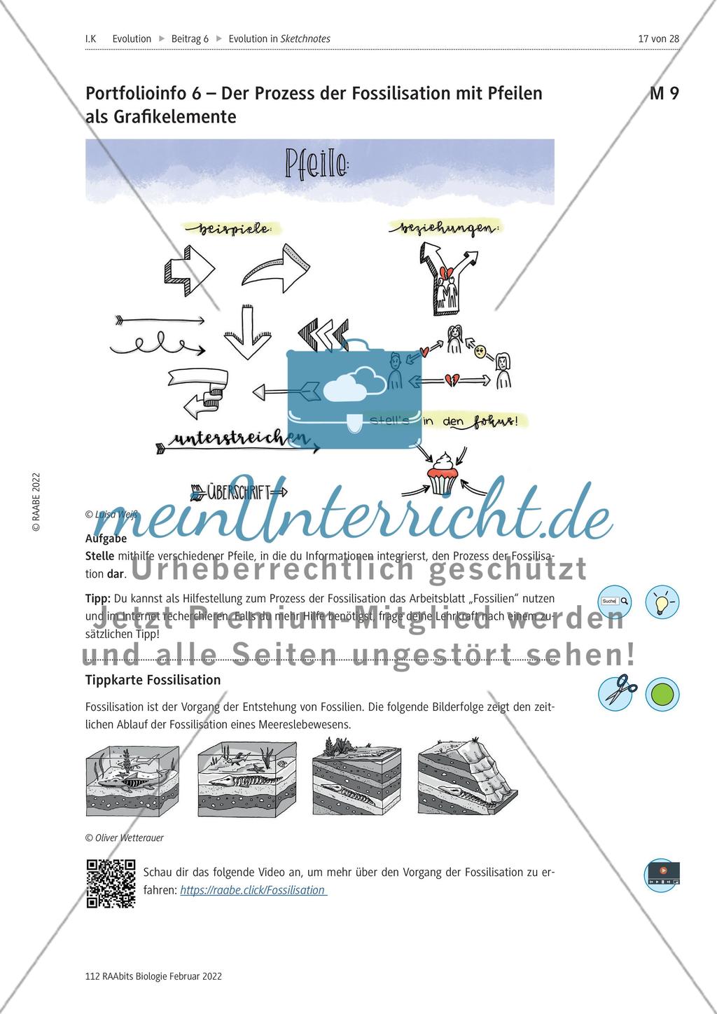 Fossilien als Belege der Evolution – M1-M11 Preview 10