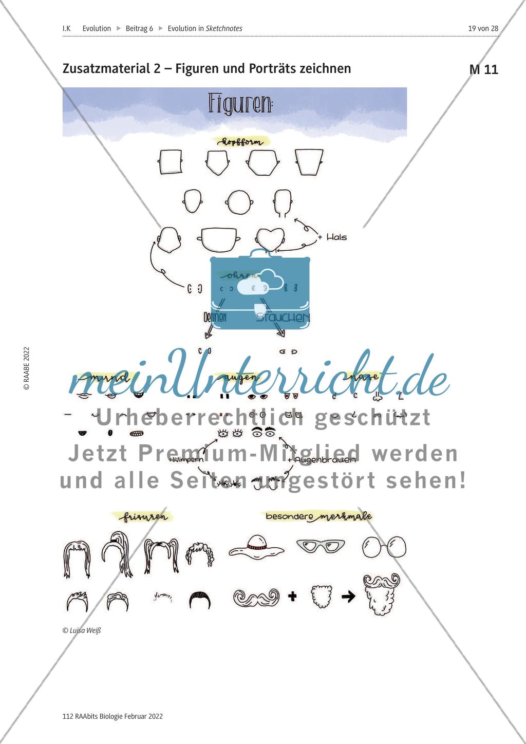 Fossilien als Belege der Evolution – M1-M11 Preview 12