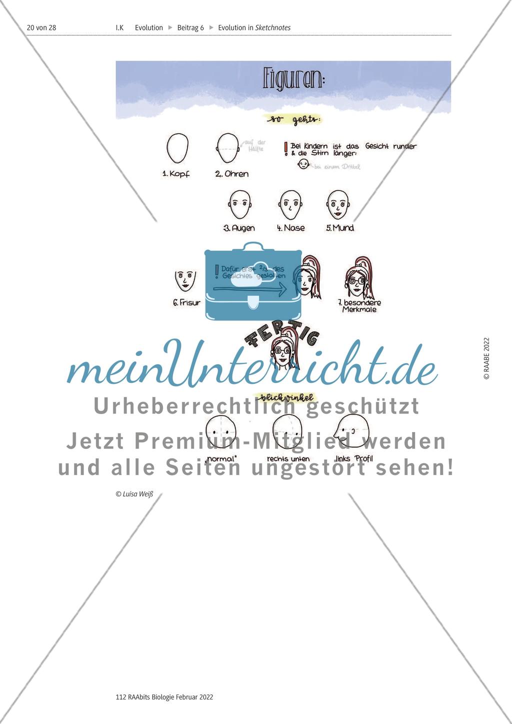 Fossilien als Belege der Evolution – M1-M11 Preview 13