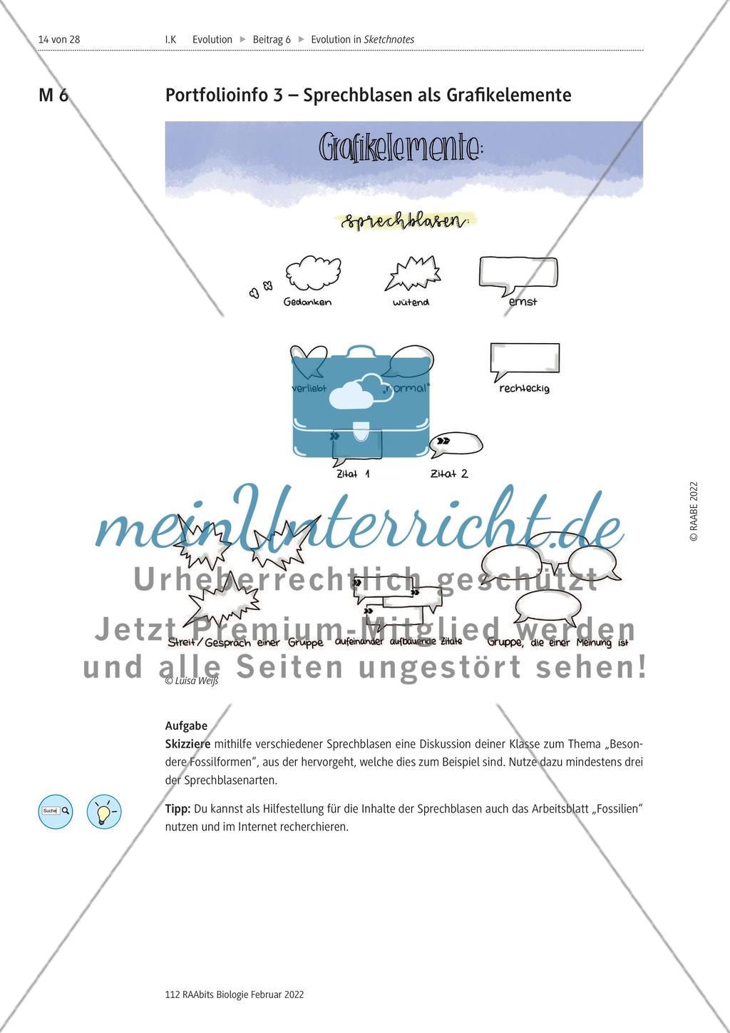 Fossilien als Belege der Evolution – M1-M11 Preview 7