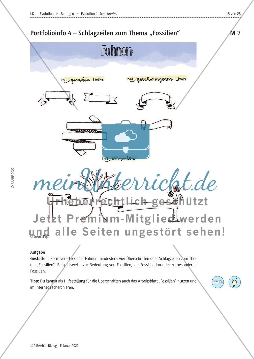 Fossilien als Belege der Evolution – M1-M11 Preview 8