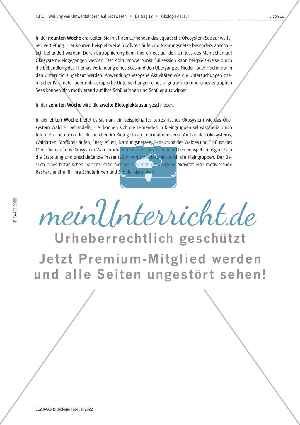 Einführung Preview 5