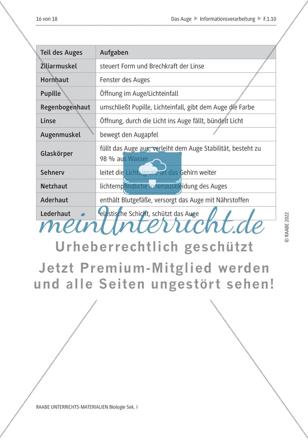 Das menschliche Auge und die Gefährdung durch Smartphones Preview 13
