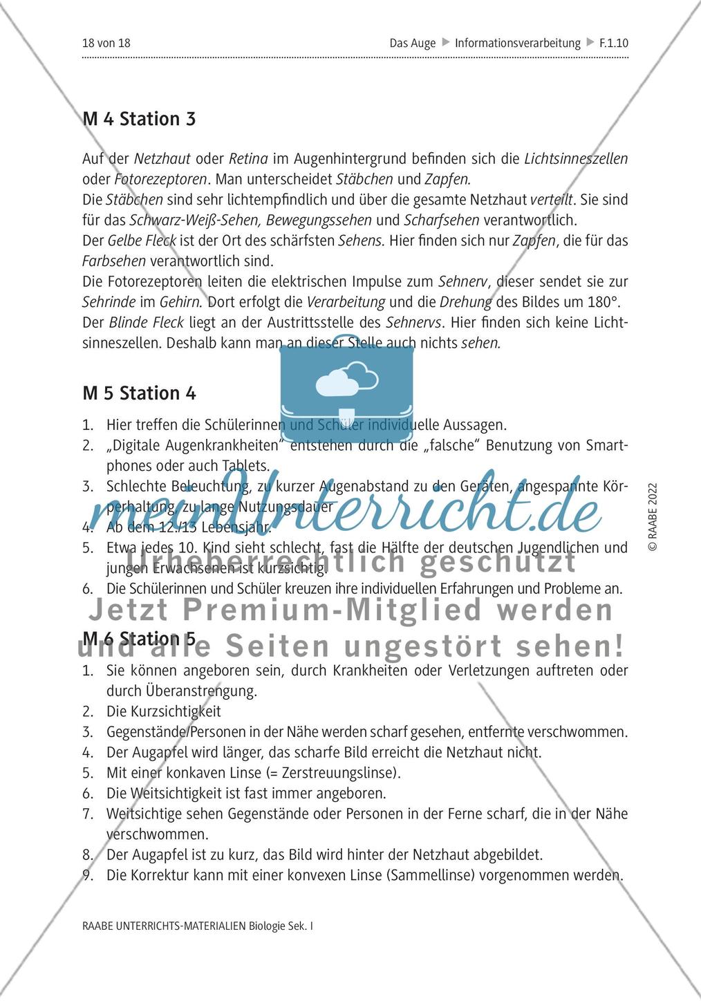 Das menschliche Auge und die Gefährdung durch Smartphones Preview 15