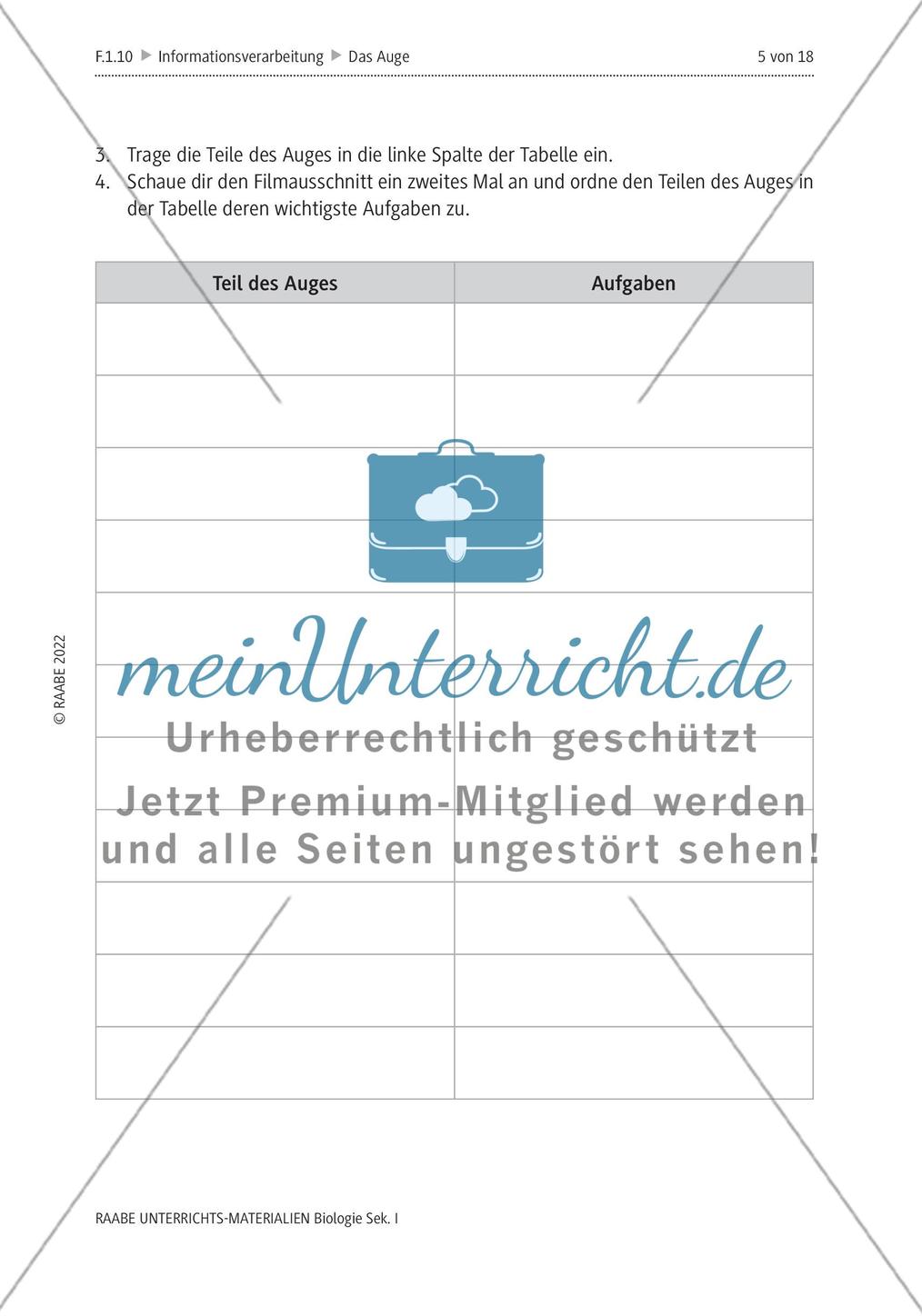 Das menschliche Auge und die Gefährdung durch Smartphones Preview 2