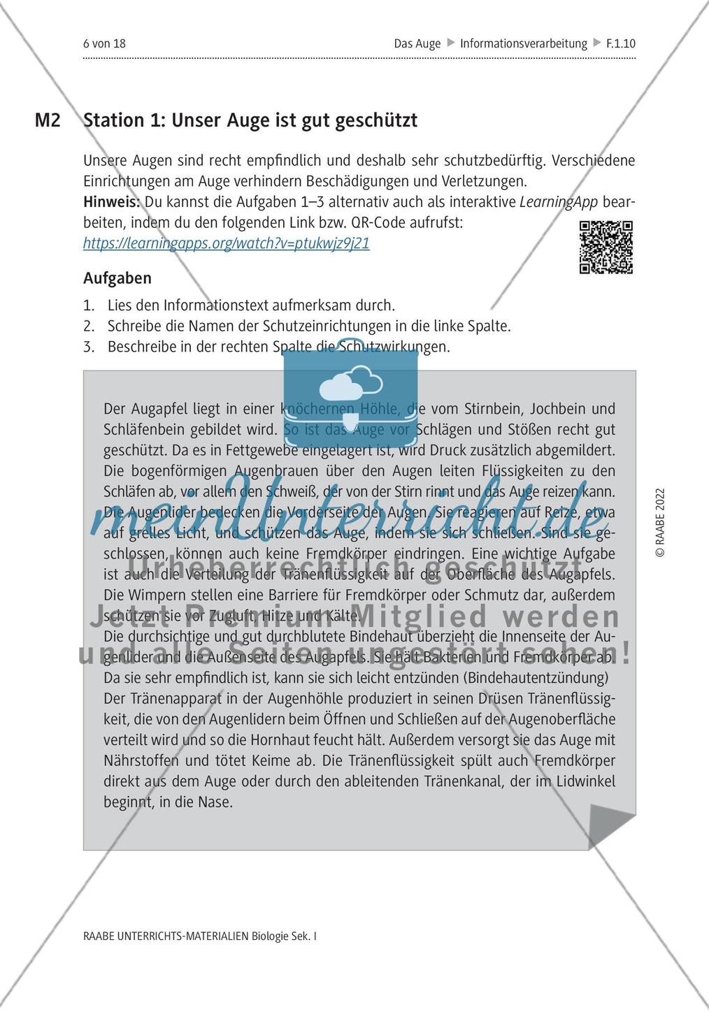 Das menschliche Auge und die Gefährdung durch Smartphones Preview 3