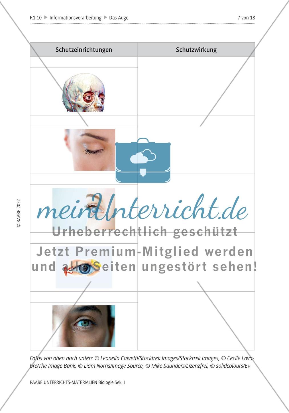 Das menschliche Auge und die Gefährdung durch Smartphones Preview 4