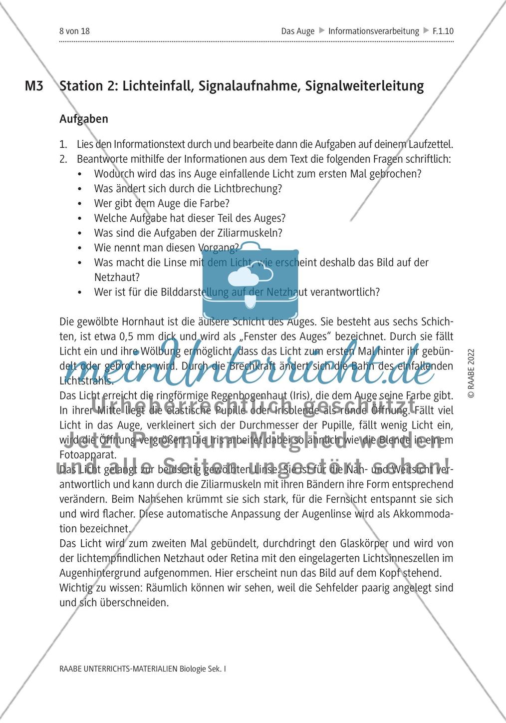 Das menschliche Auge und die Gefährdung durch Smartphones Preview 5