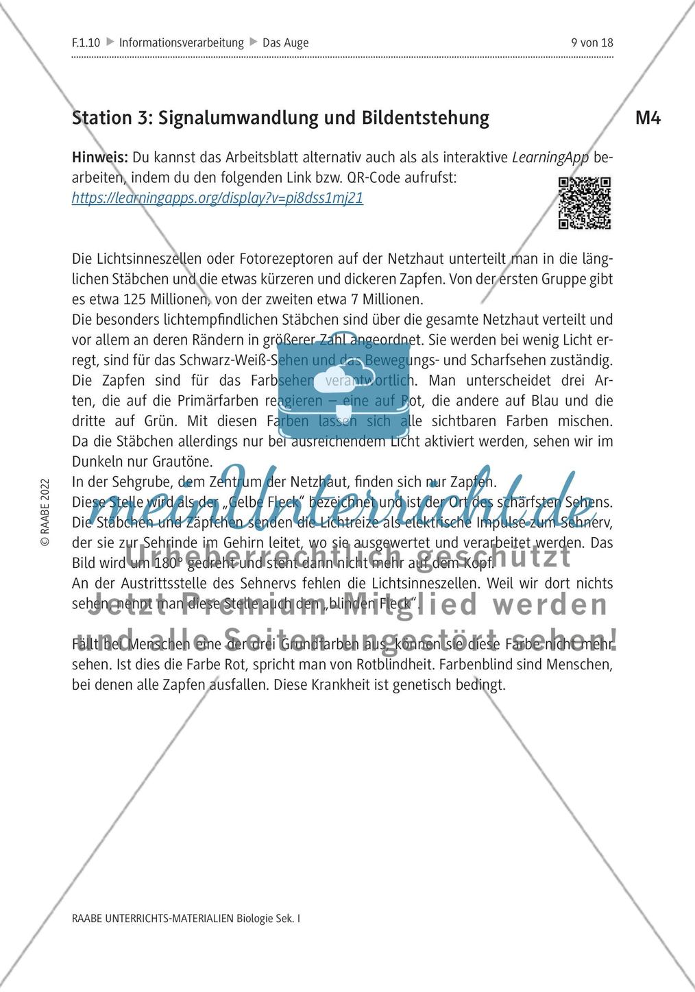 Das menschliche Auge und die Gefährdung durch Smartphones Preview 6
