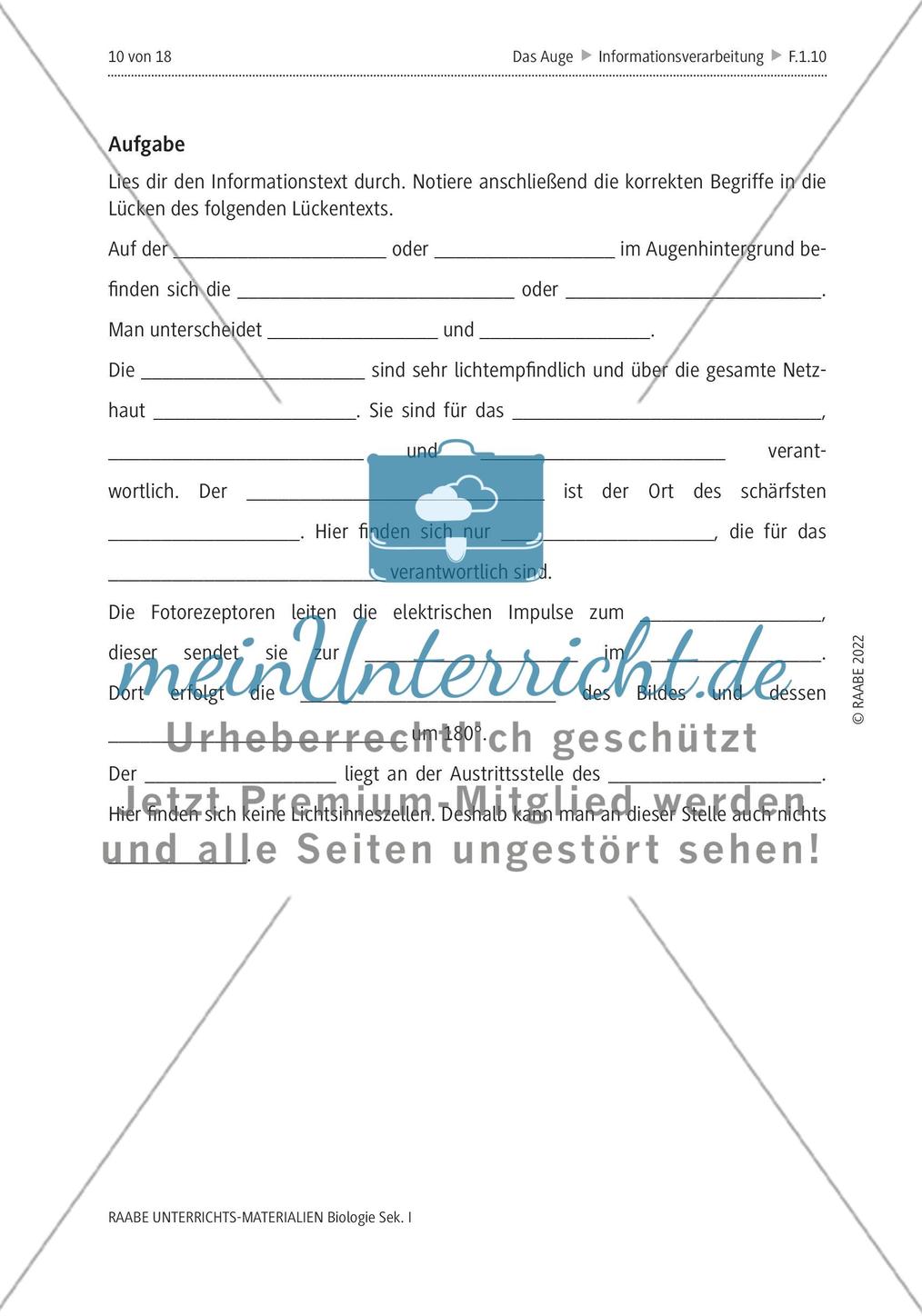 Das menschliche Auge und die Gefährdung durch Smartphones Preview 7