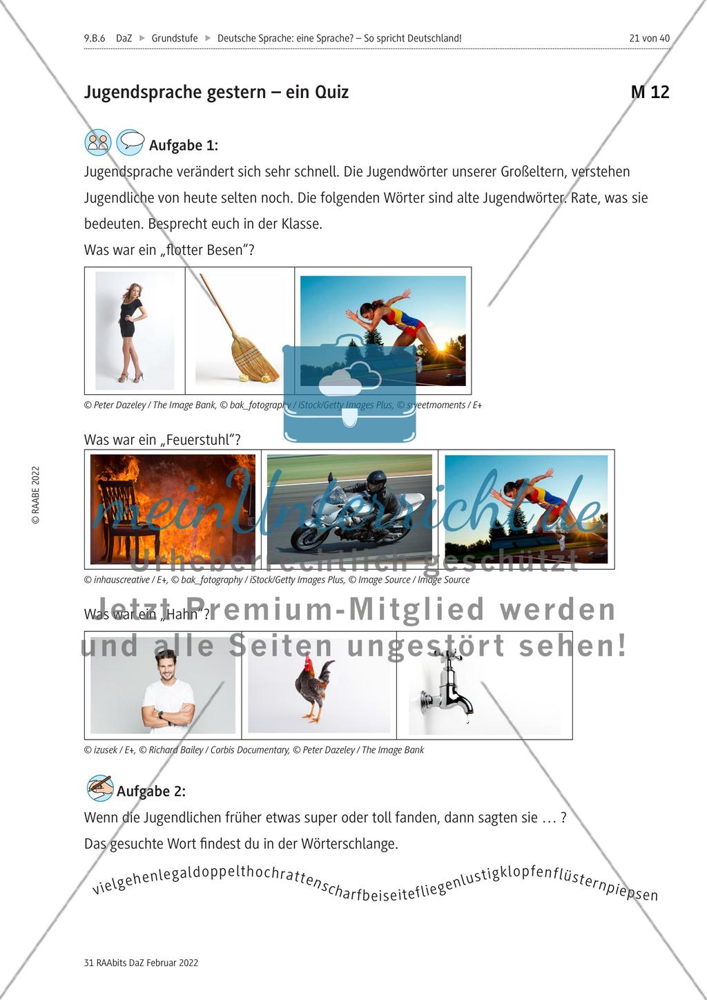 Deutsche Sprache: eine Sprache? – M11-M20 Preview 3