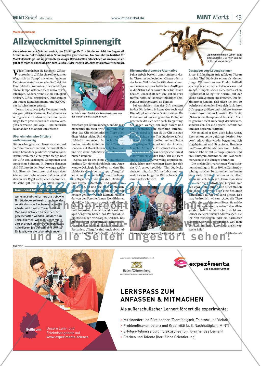 MINT Zirkel – Ausgabe 1, März 2022 Preview 13