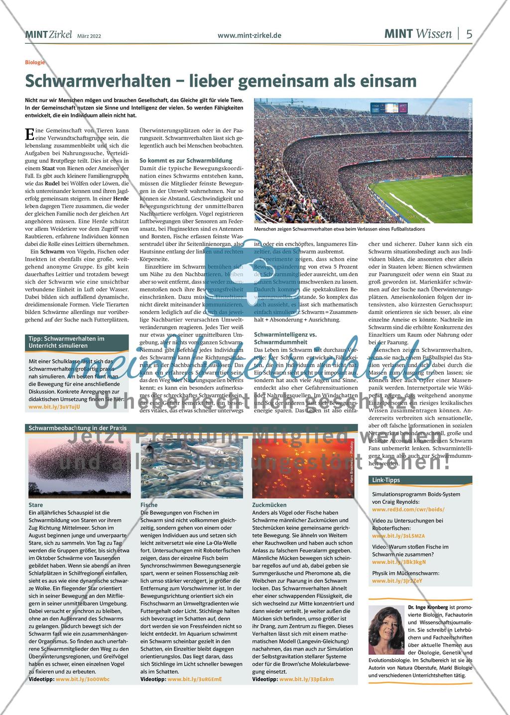MINT Zirkel – Ausgabe 1, März 2022 Preview 5