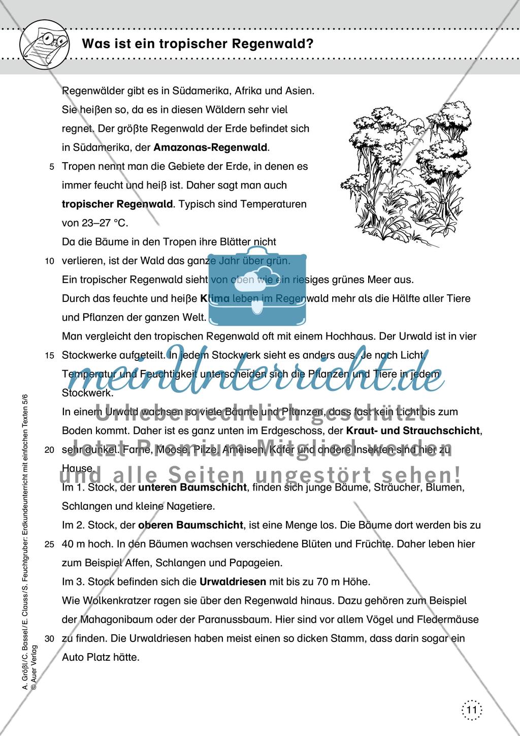 Mittel- und Südamerika Preview 11