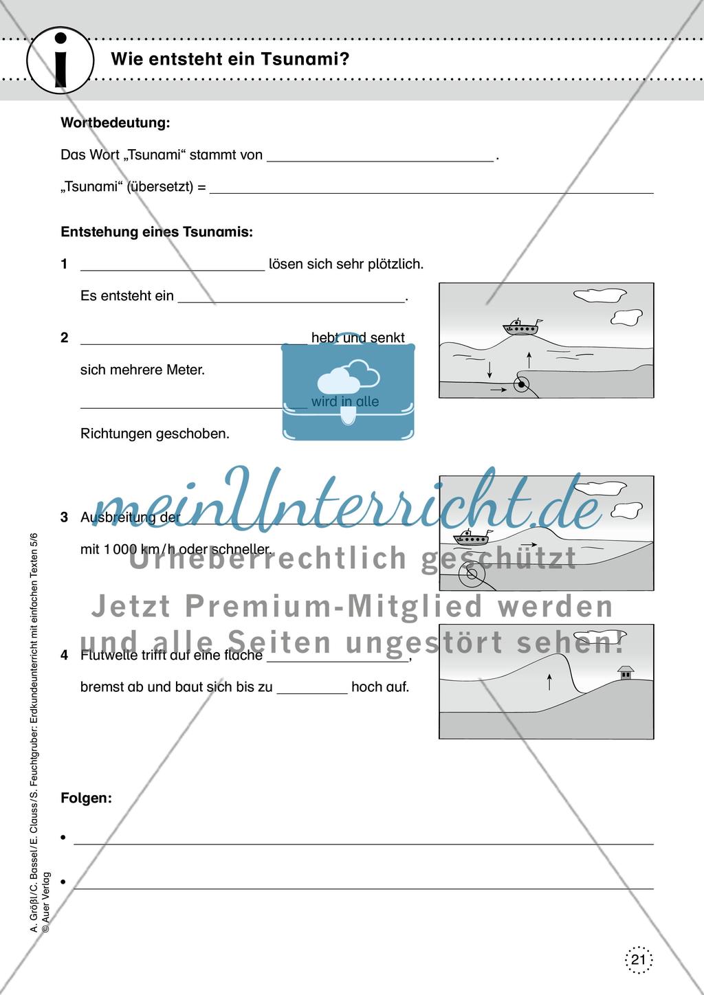 Naturkatastrophen Preview 21