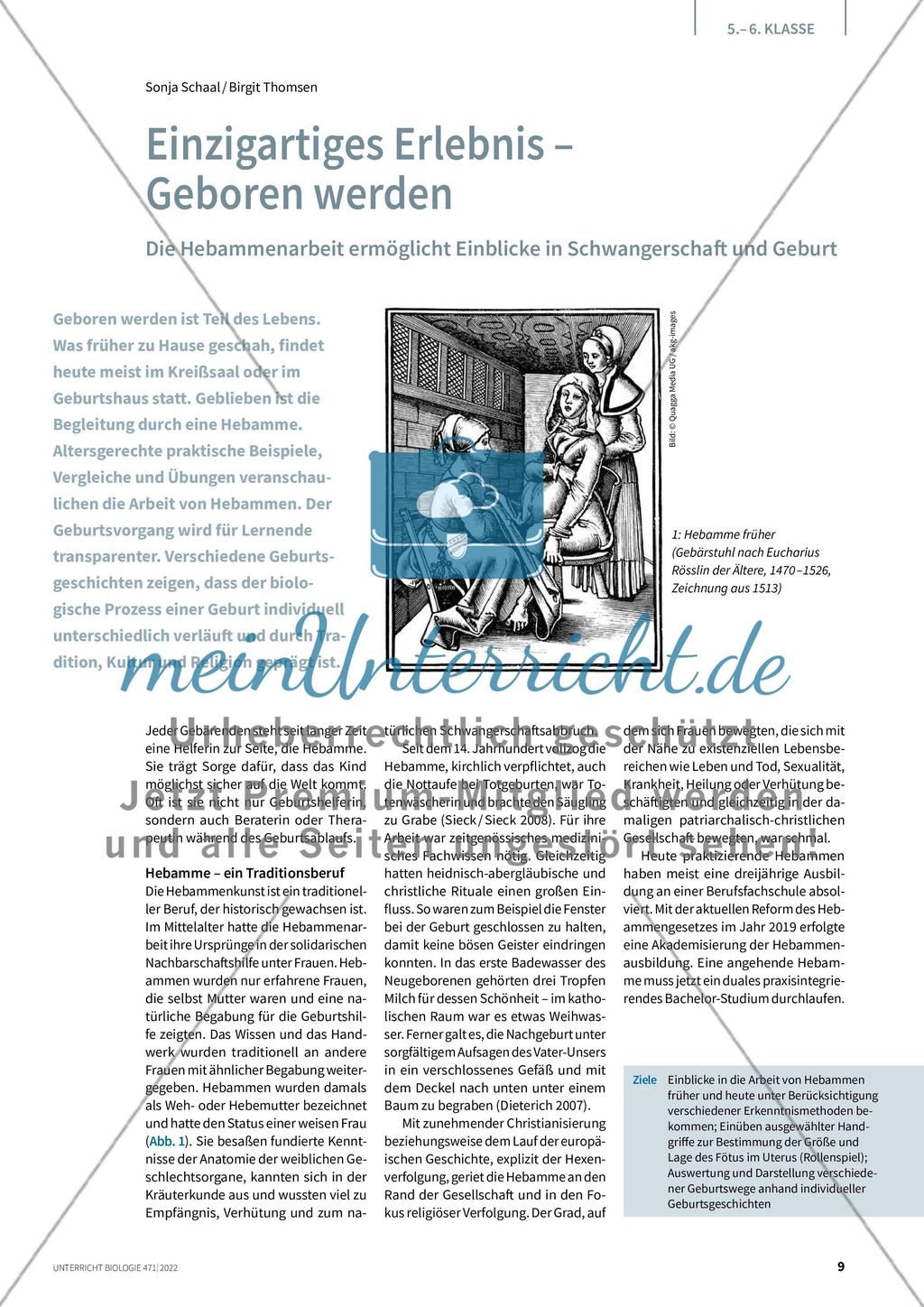Einzigartiges Erlebnis - Geboren werden Preview 1