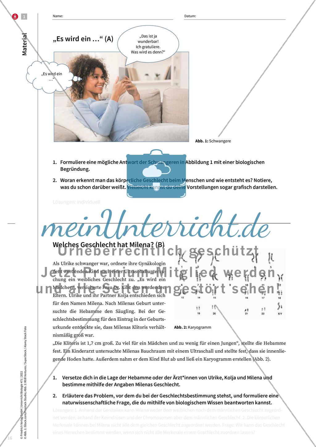 Männlich, weiblich, inter* ... Preview 3
