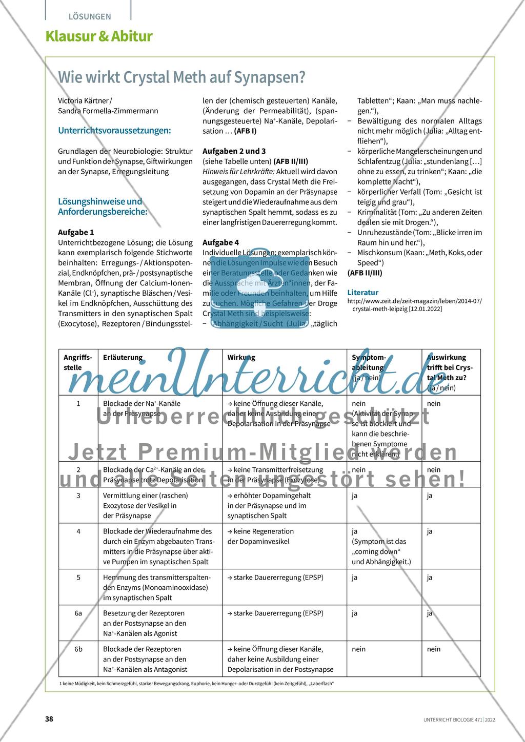 Wie wirkt Crystal Meth auf Synapsen? Preview 1