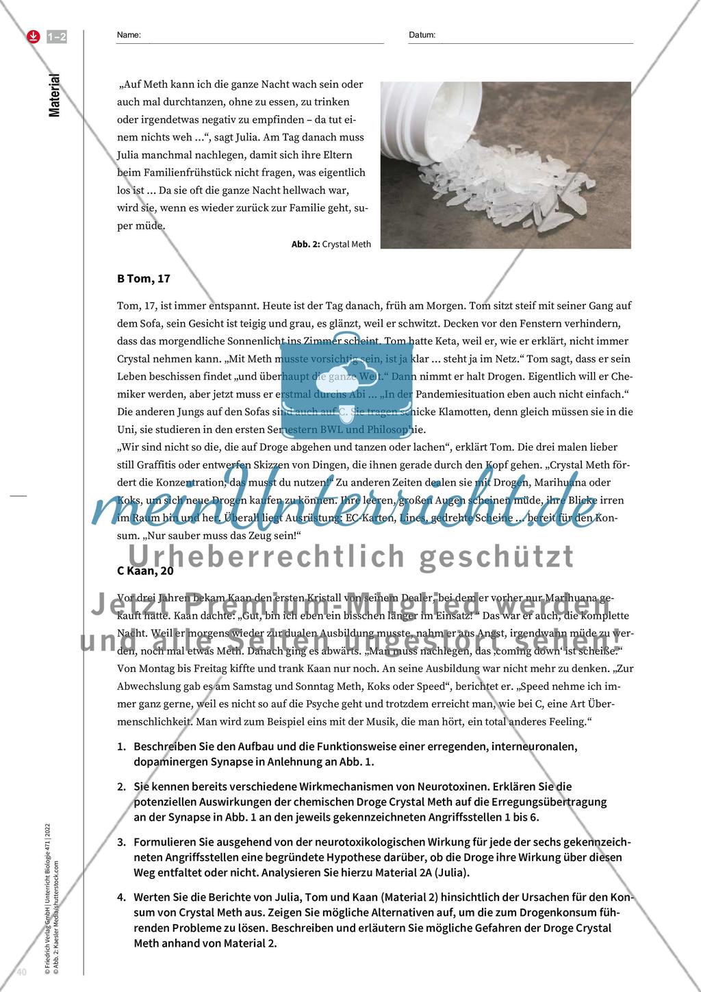 Wie wirkt Crystal Meth auf Synapsen? Preview 3
